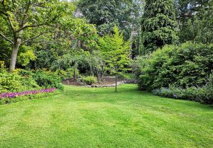 Optimiser l'expérience du jardin à Dampierre-sur-Avre